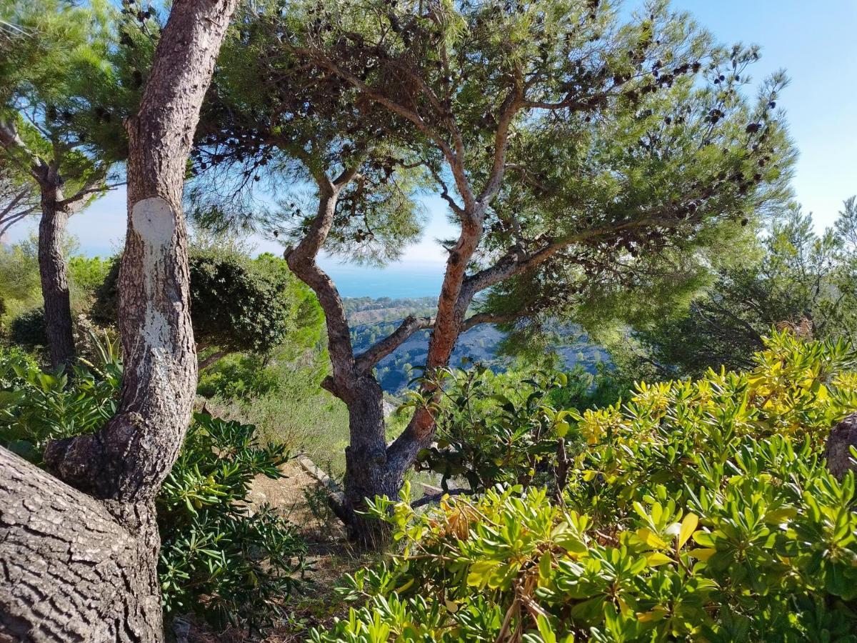 شقة Sweet Calanque - Host Provence كاسيس المظهر الخارجي الصورة